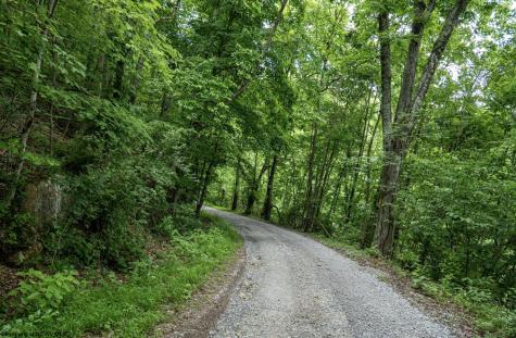1 Sycamore Fork Road Wallace WV 26448