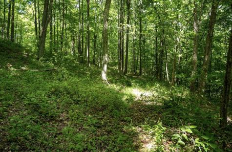 1 Sycamore Fork Road Wallace WV 26448