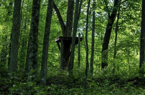 1 Sycamore Fork Road Wallace WV 26448