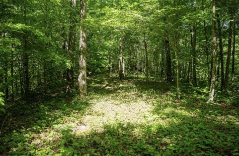 1 Sycamore Fork Road Wallace WV 26448
