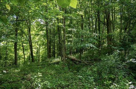 1 Sycamore Fork Road Wallace WV 26448