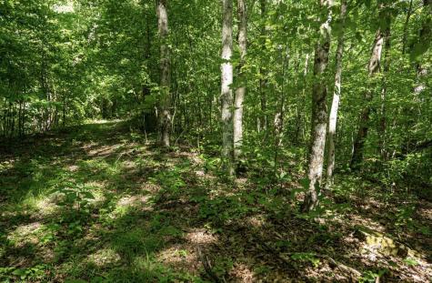 1 Sycamore Fork Road Wallace WV 26448