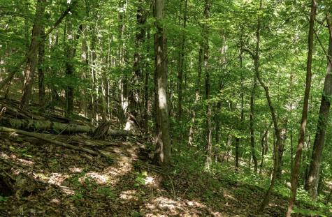 1 Sycamore Fork Road Wallace WV 26448