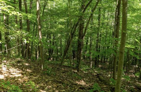 1 Sycamore Fork Road Wallace WV 26448