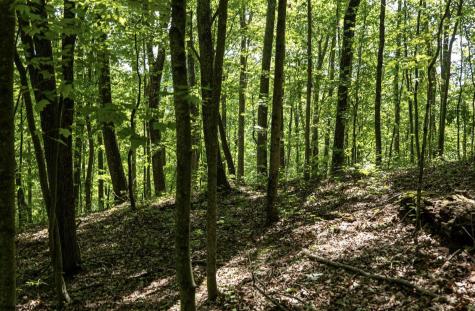 1 Sycamore Fork Road Wallace WV 26448