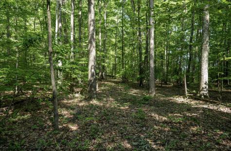 1 Sycamore Fork Road Wallace WV 26448