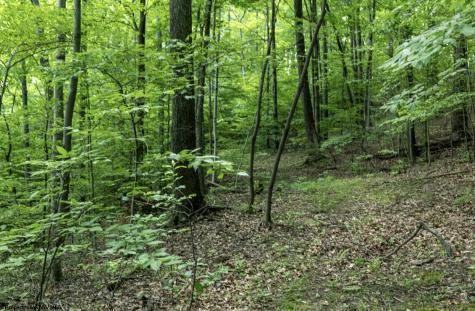 1 Sycamore Fork Road Wallace WV 26448