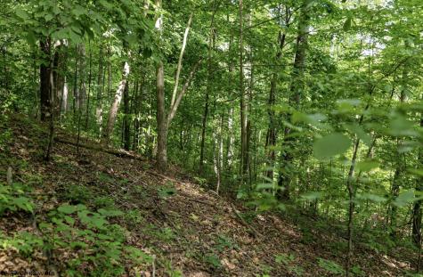 1 Sycamore Fork Road Wallace WV 26448