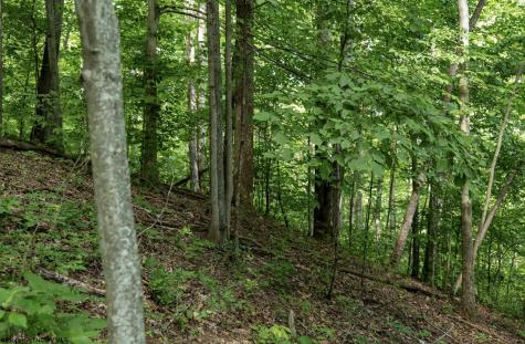 1 Sycamore Fork Road Wallace WV 26448
