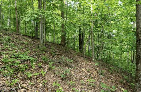 1 Sycamore Fork Road Wallace WV 26448