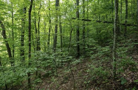 1 Sycamore Fork Road Wallace WV 26448