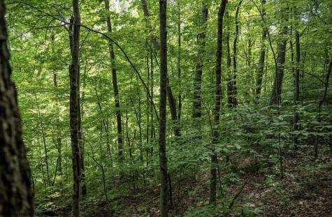 1 Sycamore Fork Road Wallace WV 26448