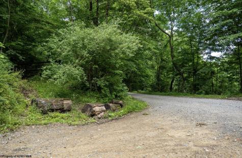 1 Sycamore Fork Road Wallace WV 26448