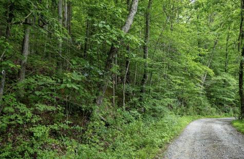 1 Sycamore Fork Road Wallace WV 26448