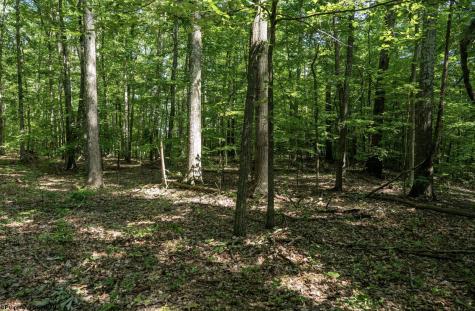 1 Sycamore Fork Road Wallace WV 26448