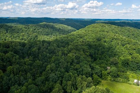 1 Sycamore Fork Road Wallace WV 26448