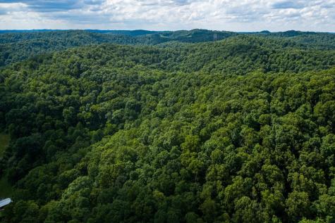 1 Sycamore Fork Road Wallace WV 26448