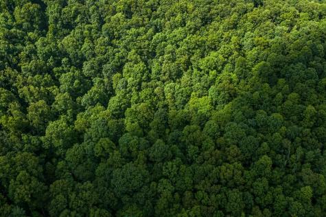 1 Sycamore Fork Road Wallace WV 26448