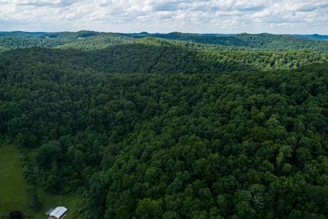 1 Sycamore Fork Road Wallace WV 26448