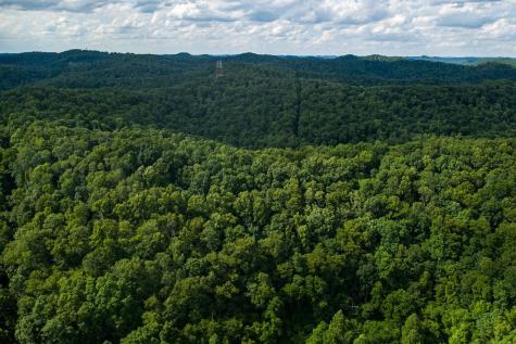 1 Sycamore Fork Road Wallace WV 26448