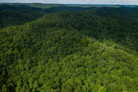 1 Sycamore Fork Road Wallace WV 26448