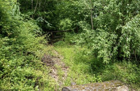 1 Sycamore Fork Road Wallace WV 26448