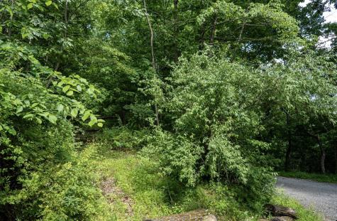 1 Sycamore Fork Road Wallace WV 26448