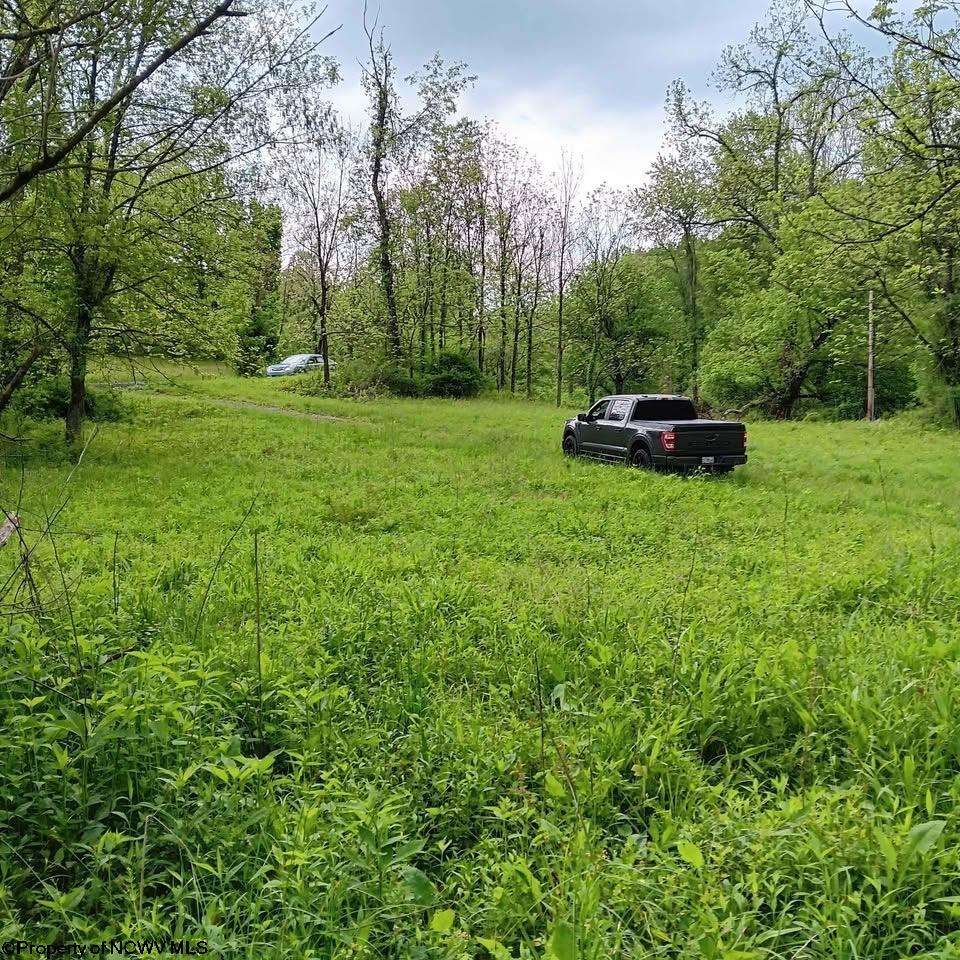 0 Meathouse Fork Road New Milton WV 26411
