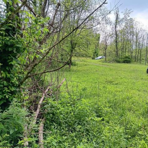 0 Meathouse Fork Road New Milton WV 26411