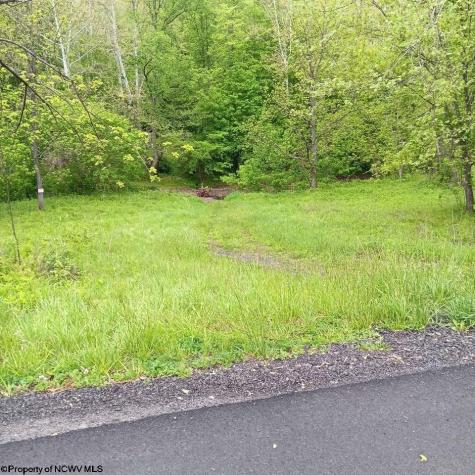 0 Meathouse Fork Road New Milton WV 26411