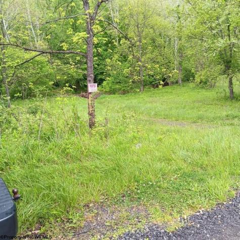 0 Meathouse Fork Road New Milton WV 26411