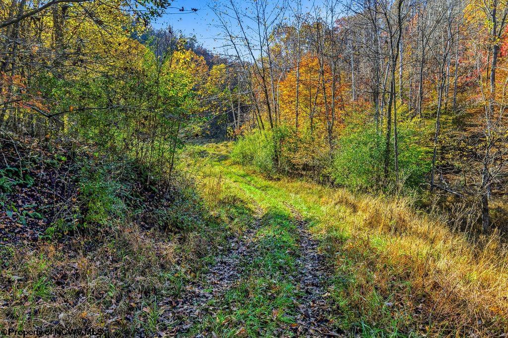 0 Lower Sleith Road Duck WV 25063