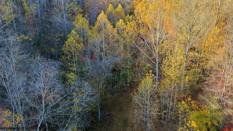 0 Lower Sleith Road Duck WV 25063