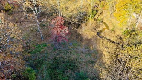 0 Lower Sleith Road Duck WV 25063