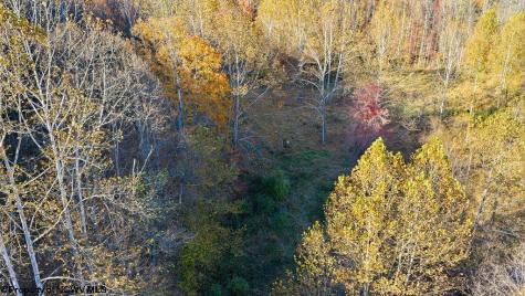 0 Lower Sleith Road Duck WV 25063