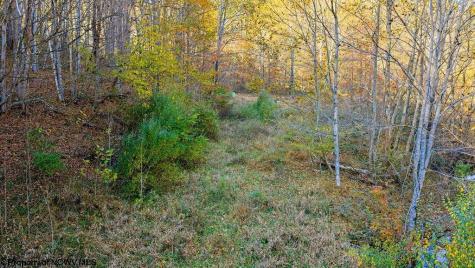 0 Lower Sleith Road Duck WV 25063
