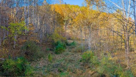 0 Lower Sleith Road Duck WV 25063