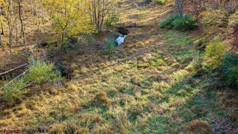 0 Lower Sleith Road Duck WV 25063