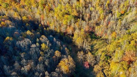 0 Lower Sleith Road Duck WV 25063