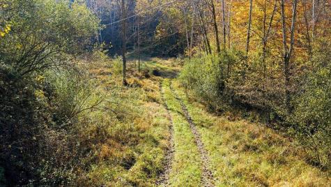 0 Lower Sleith Road Duck WV 25063