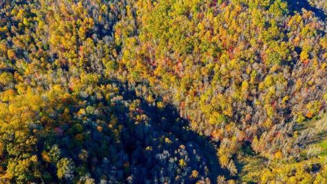 0 Lower Sleith Road Duck WV 25063