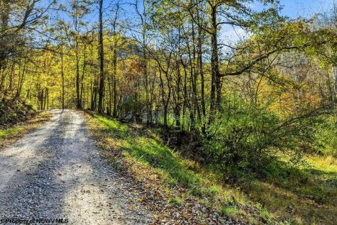 0 Lower Sleith Road Duck WV 25063