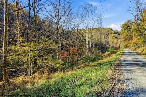 0 Lower Sleith Road Duck WV 25063