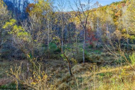 0 Lower Sleith Road Duck WV 25063