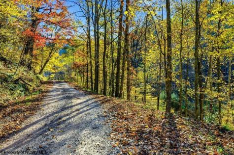 0 Lower Sleith Road Duck WV 25063