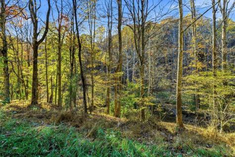 0 Lower Sleith Road Duck WV 25063