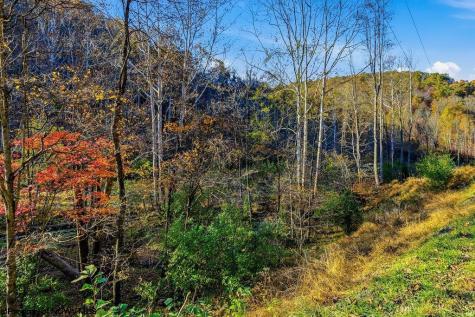 0 Lower Sleith Road Duck WV 25063
