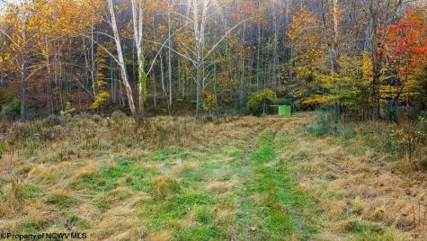0 Lower Sleith Road Duck WV 25063