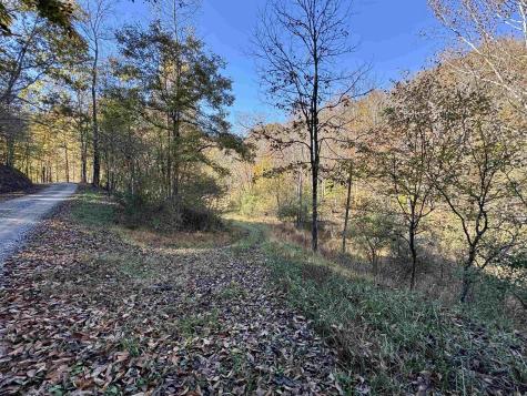0 Lower Sleith Road Duck WV 25063