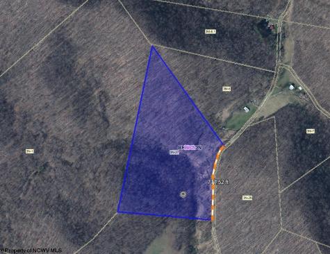 0 Lower Sleith Road Duck WV 25063
